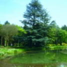 A Dombóvári Herbárium – Magyarország legszebb arborétumai és botanikus kertjei