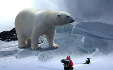 Hogyan védik a skandinávok a környezetet?