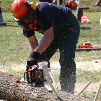 Felbőgtek a motoros fűrészek Ropolypusztán