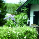 A Dombóvári Herbárium – Magyarország legszebb arborétumai és botanikus kertjei