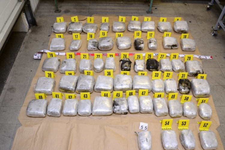 Negyven kiló marihuánát találtak a pénzügyőrök Röszkén