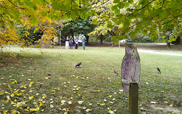 Diákok Fekete István nyomában, a Dél-Zselicben