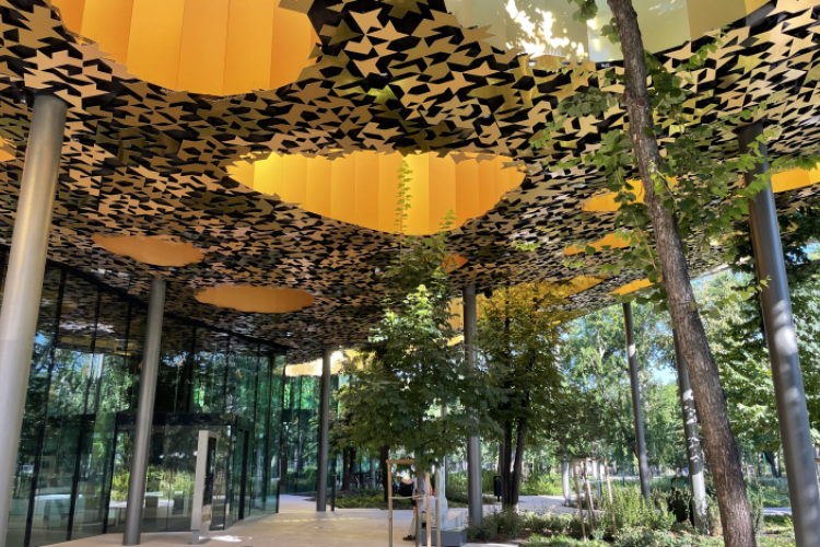 A Neoton 60 évét ünnepli a Magyar Zene Háza pop-up kiállítása