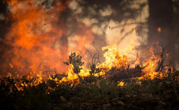 Újabb erdőtüzek pusztítanak a horvátországi Dalmáciában