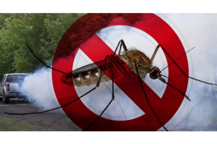 Szúnyoggyérítést végeznek Dombóváron