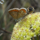 Jelzésfestés a Delta Turista Egyesülettel